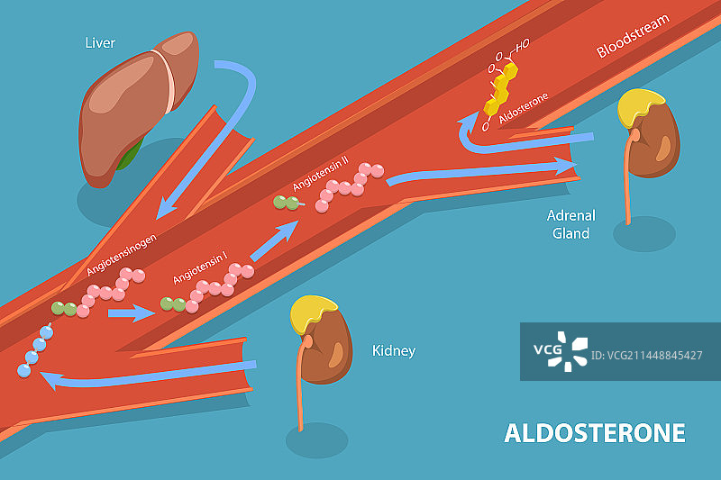 三维等距平面概念图片素材