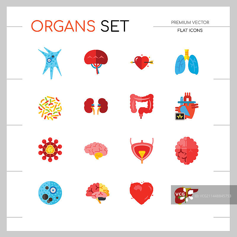 器官图标合集图片素材