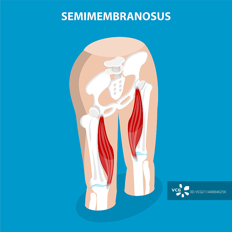 三维等距平面概念图片素材