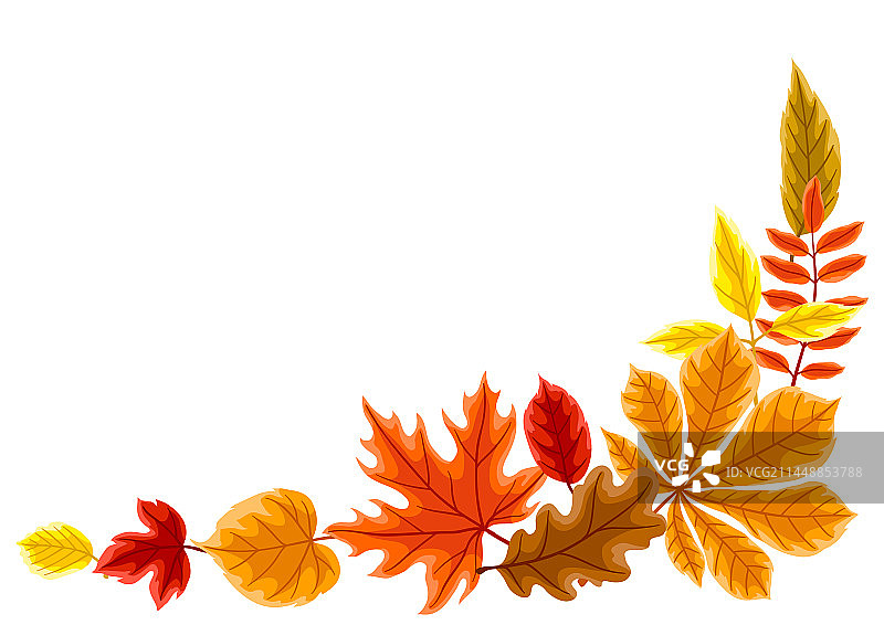 带秋叶的背景图片素材