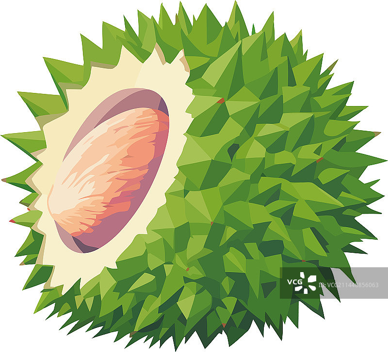 成熟的热带水果榴莲图片素材