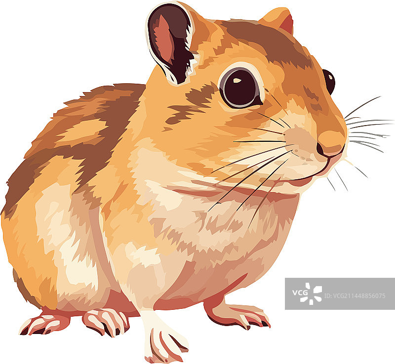 坐着表情欢快的小鼠图片素材