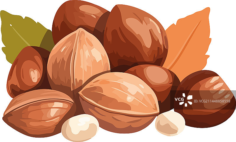 坚果秋季零食榛子杏仁和核桃图片素材