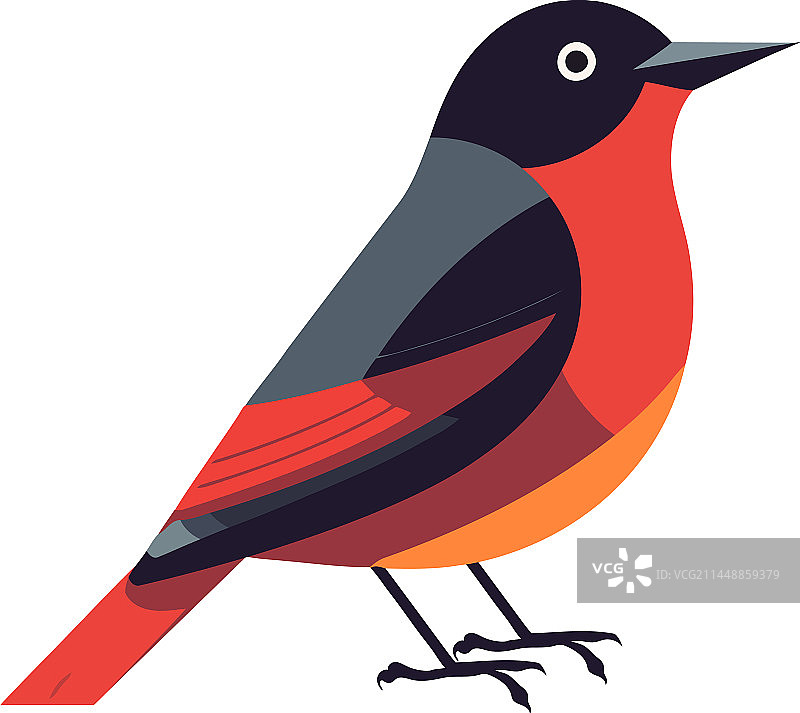 可爱的红色羽毛雀鸟图标图片素材