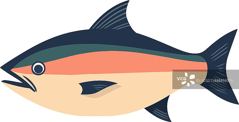 热带水下畅游的鱼图片素材