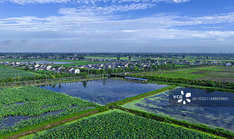 夏日的苏北农村village图片素材