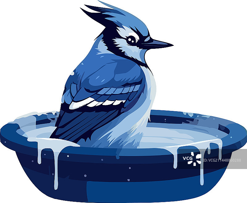 水中可爱的蓝鸟隔离设计图片素材