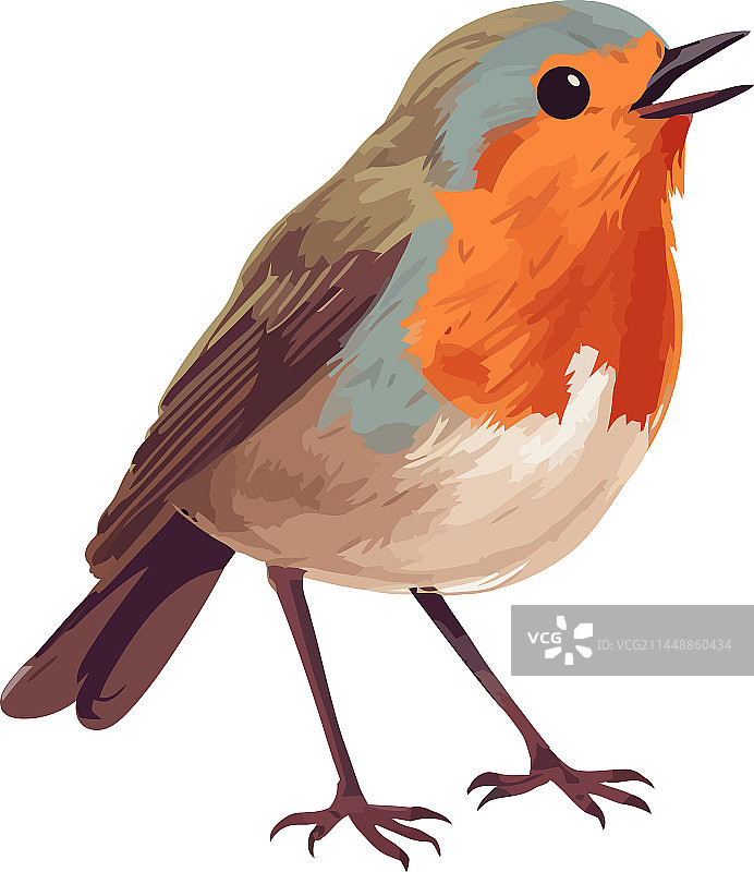 羽毛图案的小鸟在唱歌图片素材