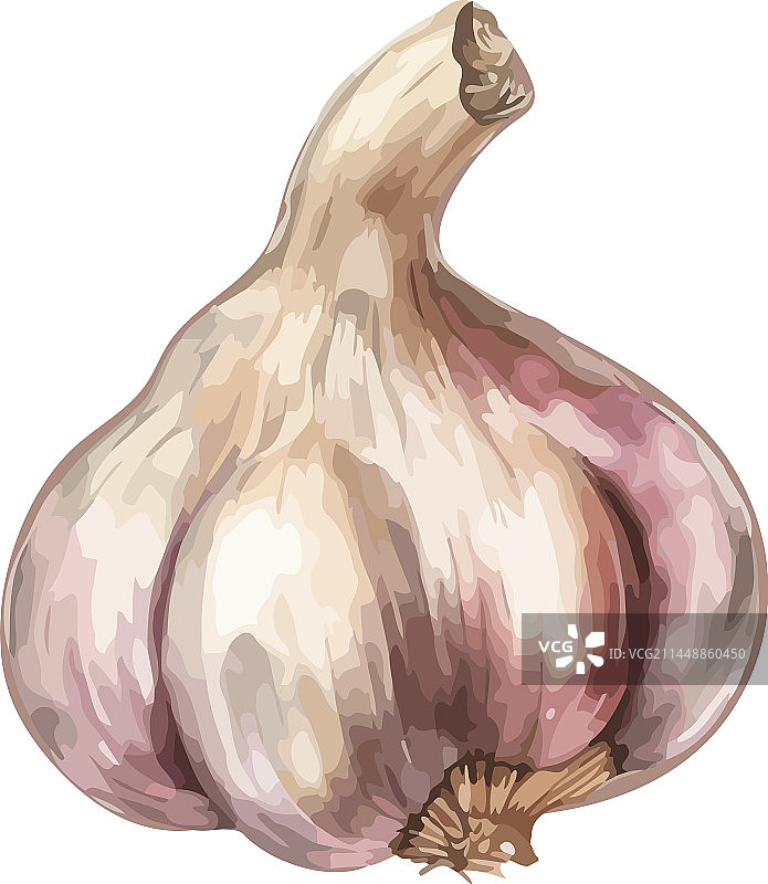 新鲜蒜瓣健康有机调味品图片素材