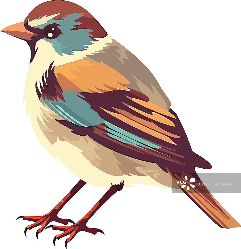 小雀鸟彩色羽毛图标图片素材