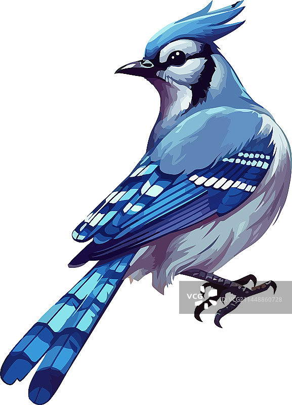 白色背景上的可爱小蓝鸟图片素材