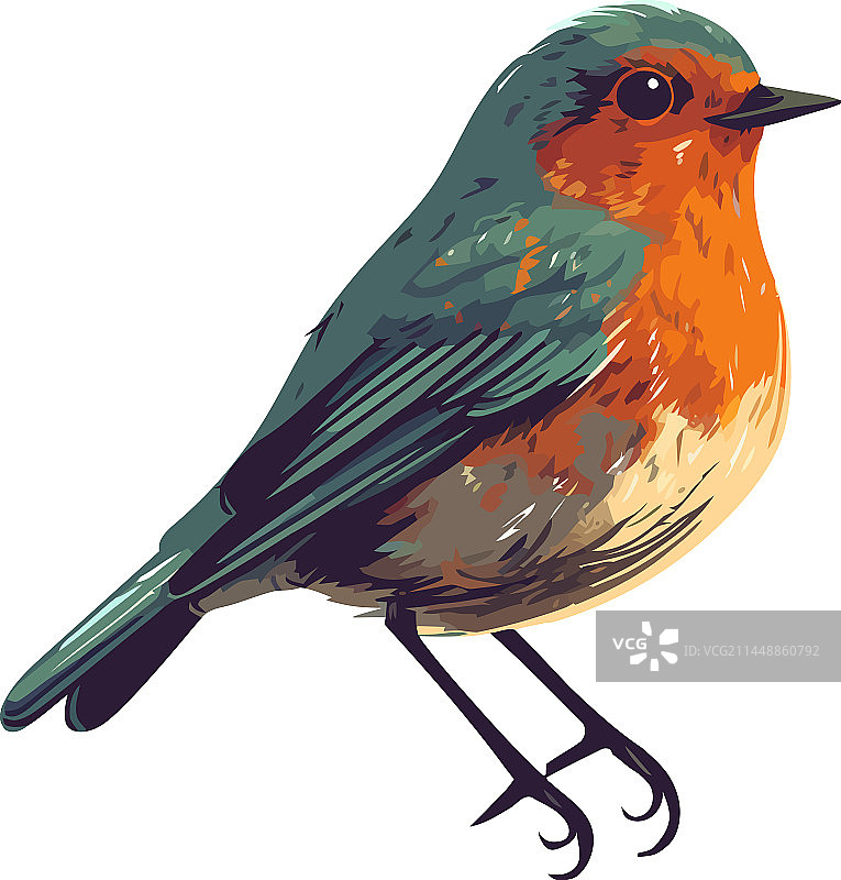 栖息在白色背景上的小鸟图片素材