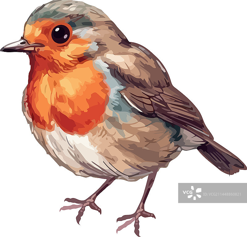 可爱的雀鸟栖息在冬日树枝上图片素材