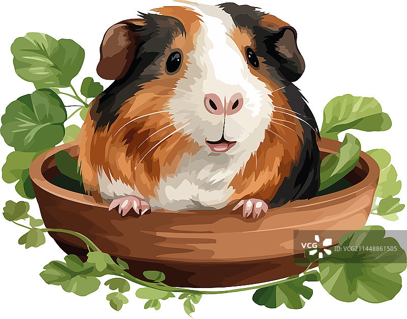 蓬松的宠物坐在草地上吃东西图片素材