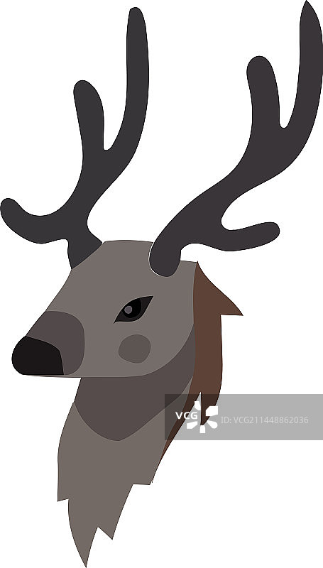 长角可爱小鹿图片素材