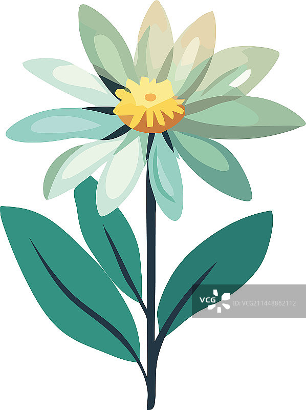 彩色雏菊花朵图片素材