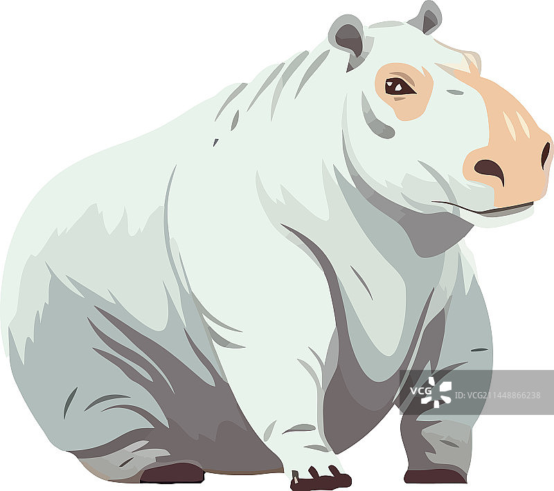 可爱河马设计图片素材