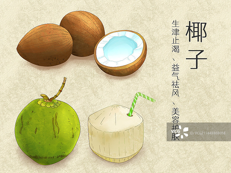 手绘水彩水果椰子插画图片素材