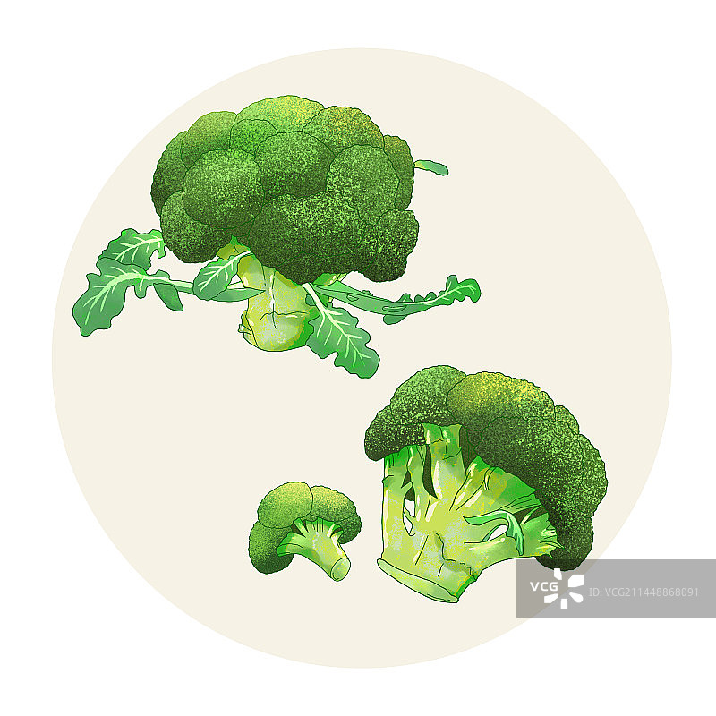 手绘水彩蔬菜西兰花图片素材