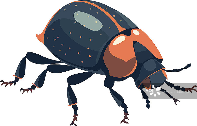 小型象鼻虫设计图片素材