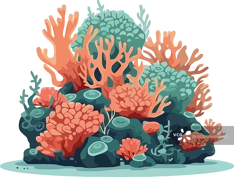 彩色水下珊瑚自然景观图片素材