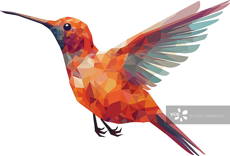 彩色羽毛蜂鸟图片素材