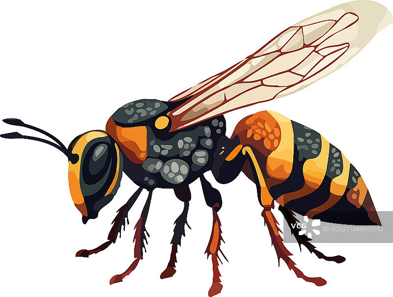 大黄蜂设计图片素材