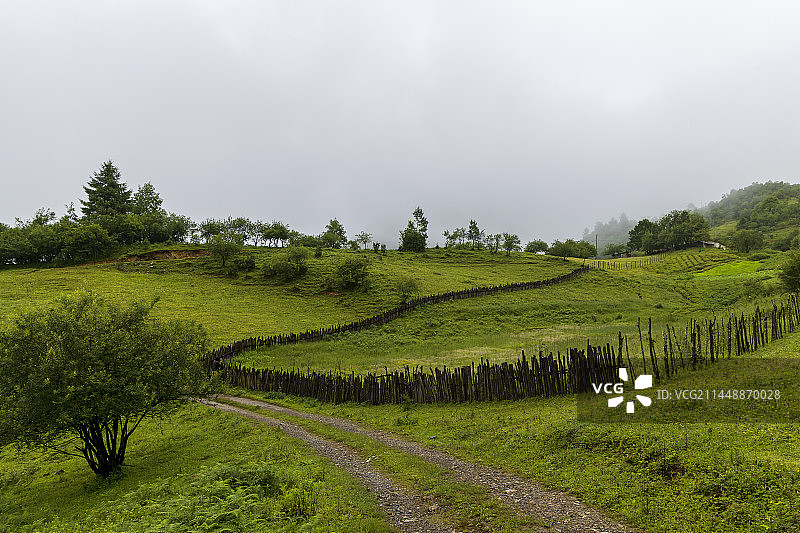 农业田顶天景观图片素材