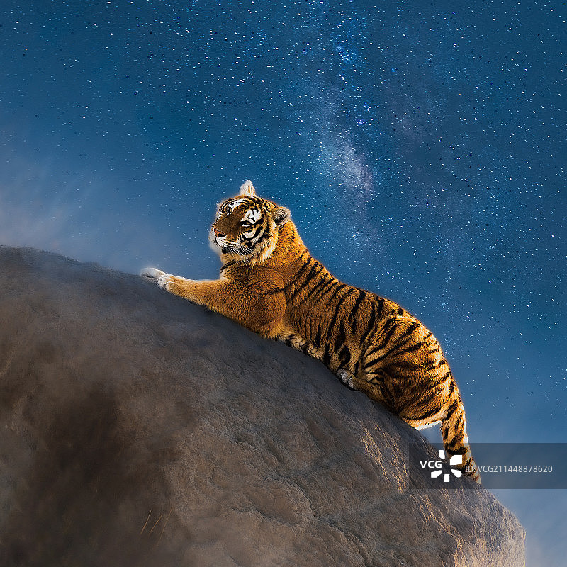 星夜霸主图片素材