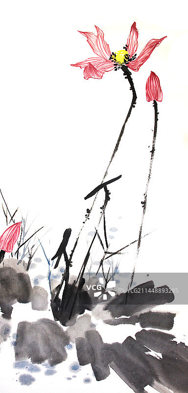 夏天大暑荷花炎热天气中国风手绘传统文化水墨插画植物风景图片素材