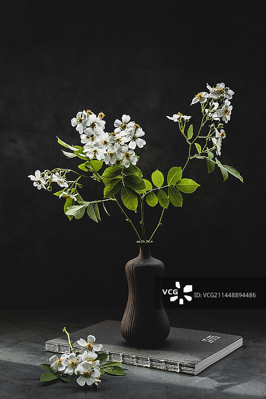 绿叶白花中国风古风禅意意境插花图片素材