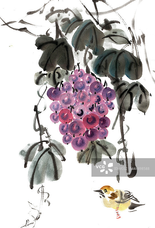 葡萄与小鸟图片素材