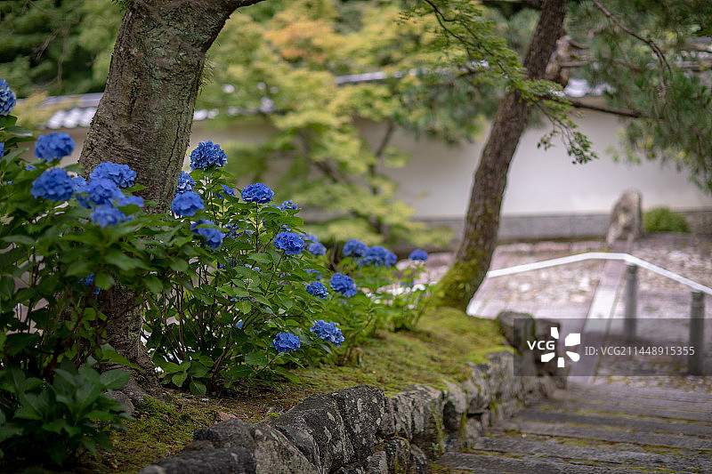 亚洲日本京都府知恩院的风光图片素材