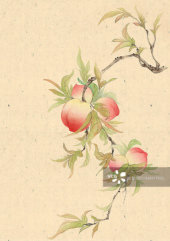 古风国画写意桃树与鸟图片素材