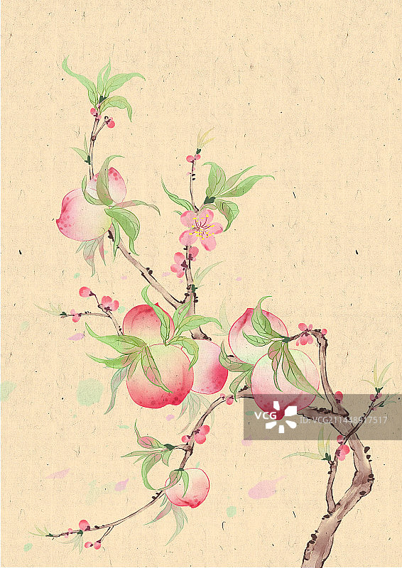 古风国画写意桃树与鸟图片素材