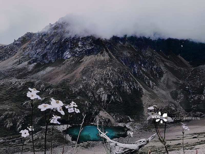 荒野里的幽蓝野海图片素材