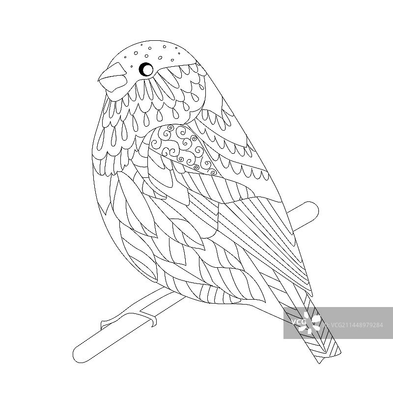 坐在树枝上的小鸟，可供涂色图片素材