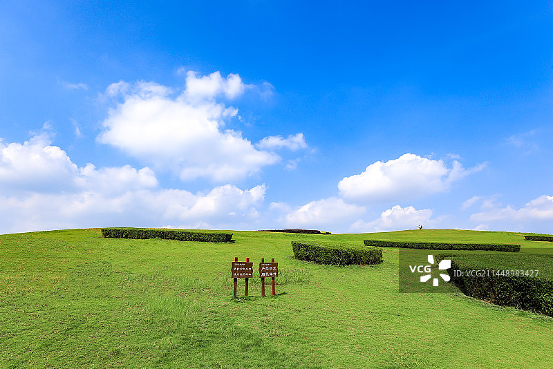 蓝天白云大草坪图片素材