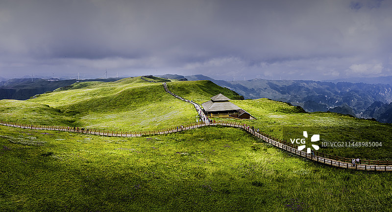 世界最大面积的野韭菜花带“贵州屋脊”赫章县阿西里西风景名胜区图片素材