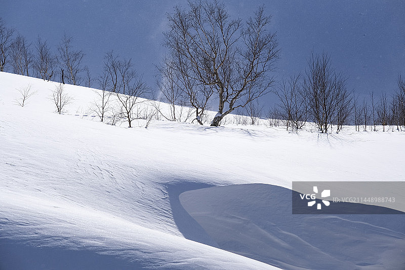 中国吉林省白山市安图县长白山景区冬季晴天美丽风景图片素材