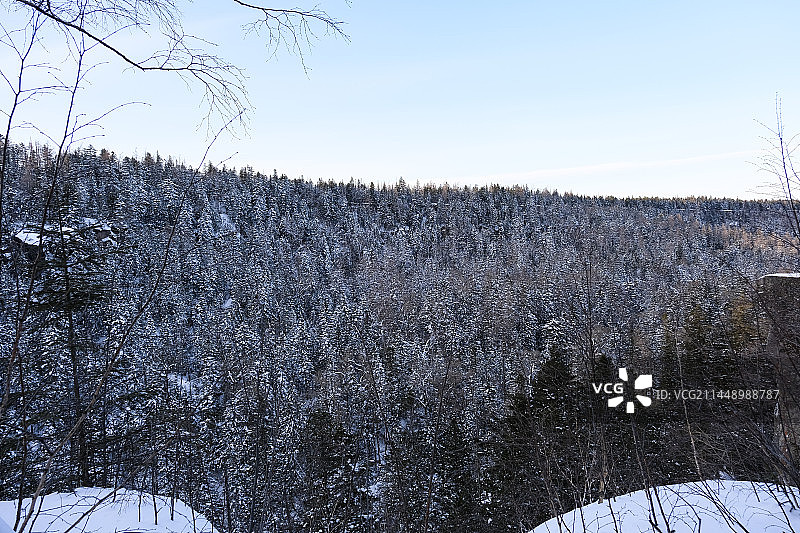 中国吉林省白山市安图县长白山景区冬季晴天美丽风景图片素材