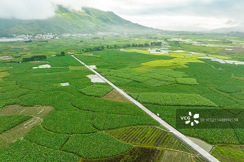 广西荔浦市高标准农田自然风光景色秀丽图片素材