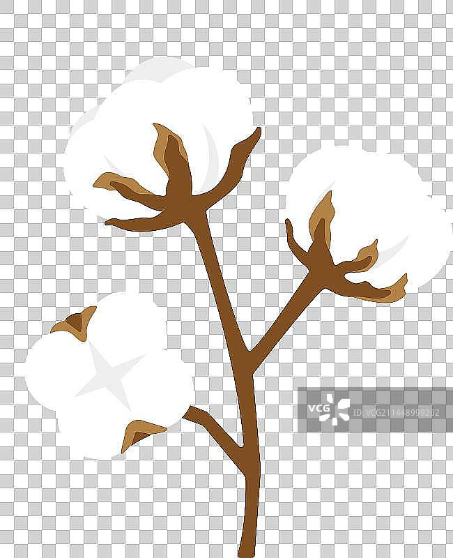 简约冬季棉花元素图片素材