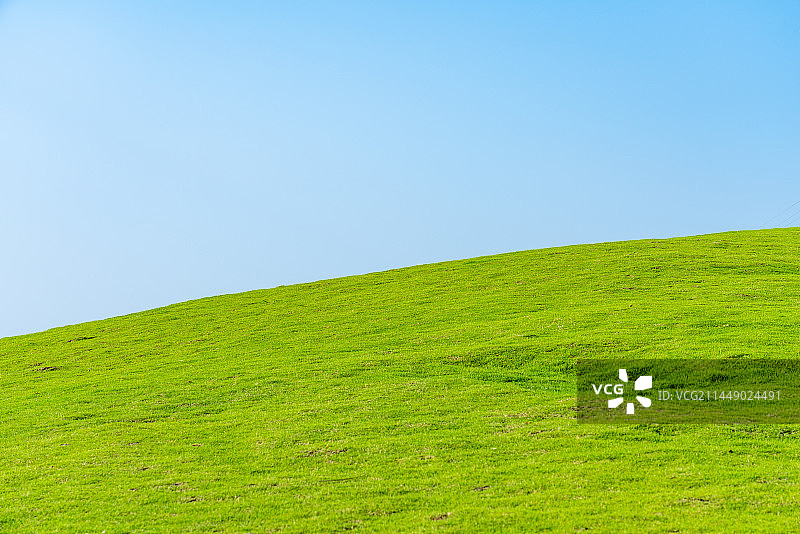 城市公园草地背景图片素材