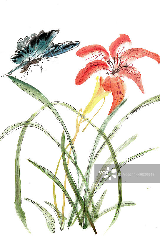 蝴蝶与鸢尾花图片素材