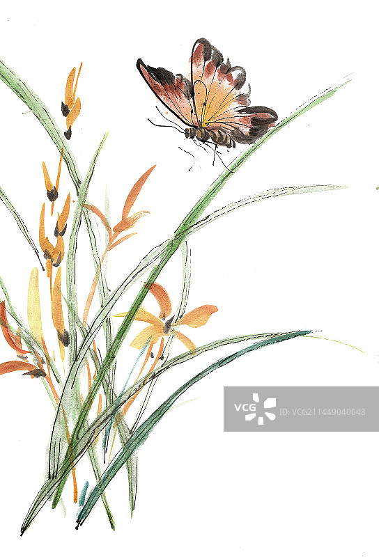 兰花与蝴蝶图片素材