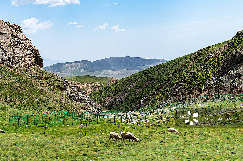 肃南裕固族自治县草原风光图片素材