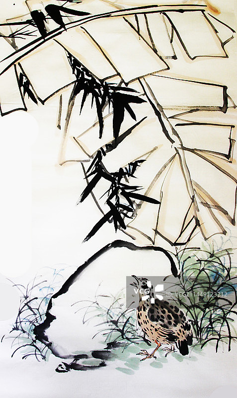 鹌鹑竹子中国风手绘传统文化水墨插画植物风景图片素材