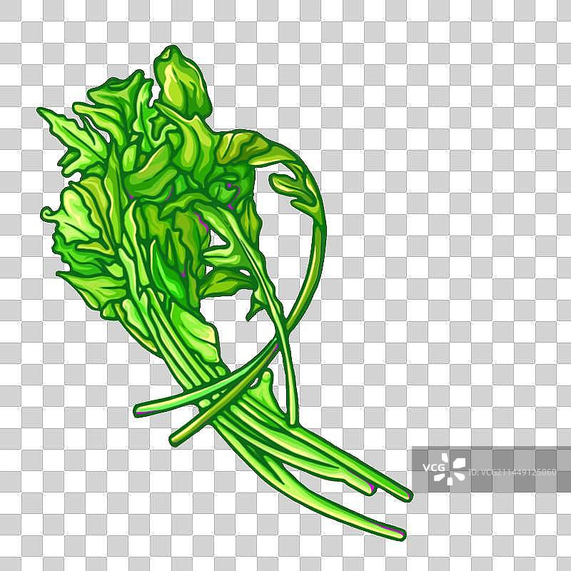 青菜图片素材