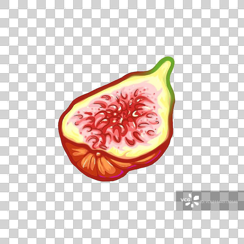 无花果图片素材
